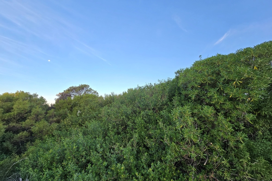 0 Bedroom Property for Sale in St Francis On Sea Eastern Cape